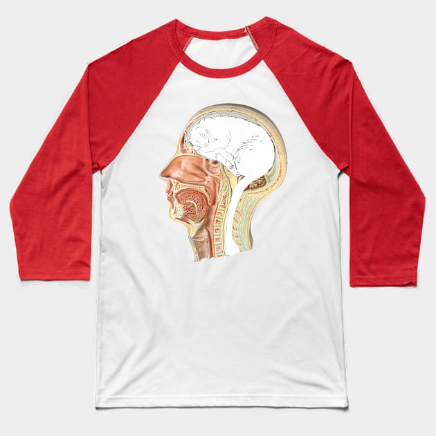 Cat in head CW Baseball T-Shirt by DrTigrou